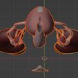 9.jpg 3D Model of Female Reproductive and Urinary System