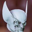 Screenshot_20240320_235548_Nomad-Sculpt.jpg Wolverine skull bust