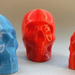 2017-01-10_15.55.03.jpg Free STL file Riley the printable skull・3D printable object to download