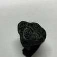 IMG_0791.jpg Fichier STL anneau crânien・Modèle pour impression 3D à télécharger