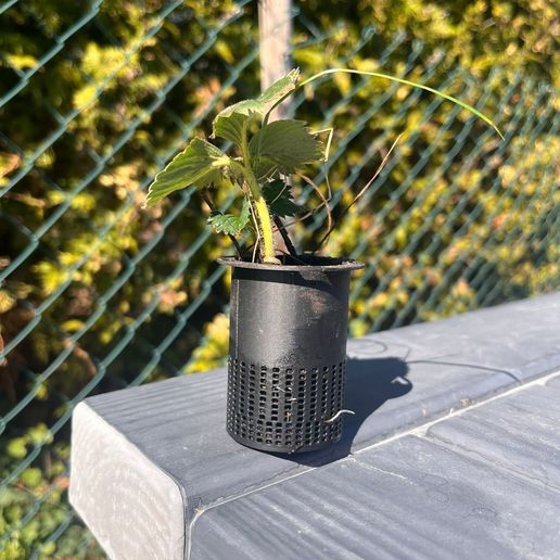 Namnlos-design.jpg hydroponic tower