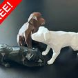 labrador_free.jpg Low polygon Maine Coon cat 3D print model  in two poses