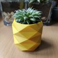 IMG_20210213_145943_1.jpg Fichier STL Mini pot à cactus à faible teneur en poly ananas・Design pour imprimante 3D à télécharger