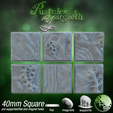 Disease-Stretch-40mm-Square.png Disease Bases (New)