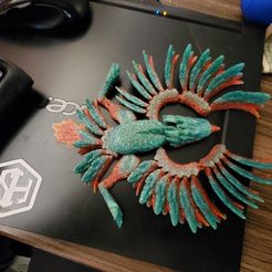 Flexi Print-in-Place Phoenix
