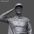 13.jpg Soldier in military salute pose