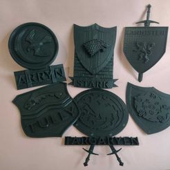 WhatsApp-Image-2022-09-17-at-23.59.57.jpeg 3D file 9 houses of Game of Thrones・3D printer model to download, marian_frate