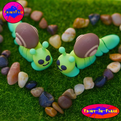 d1.jpg Caracol Flexi Tiny