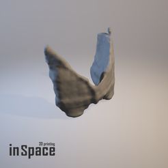 Thyroid - inspace.jpg Free STL file Medical design - Thyroid・Design to download and 3D print, InSpace