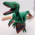 IMG_20230726_184717_F.jpg Velociraptor Flexi