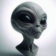 ALien-C.jpg 👽 Classic Grey Alien Bust C - Detailed  Model 🛸