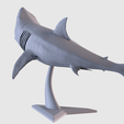03.png White Shark Statue