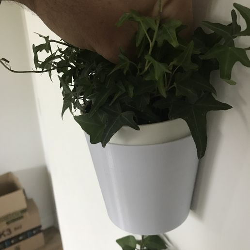 IMG_2467.JPG Removable Wall Mounted Pot
