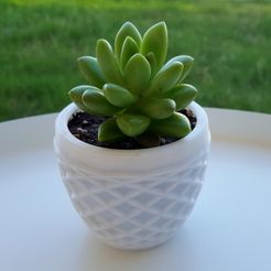 20190810_161457.jpg STL file SUCCULENT PLANTERS 6・3D printing idea to download