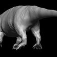 Newamb3.jpg Ambulocetus Natans 3D-Referenzmodell.