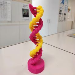 IMG_20191204_125341.jpg Molécule d'ADN - DNA molecule