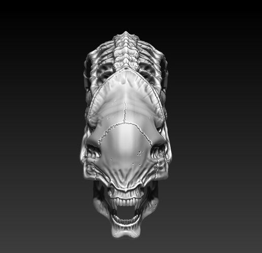 14.jpg ALIEN VS PREDATOR SKULL PACK