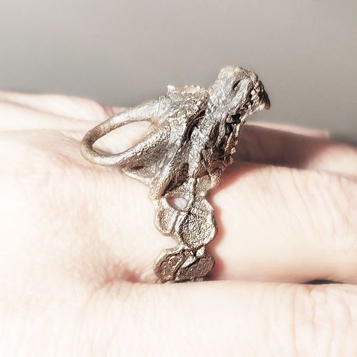 IMG_20181205_205747_01p.jpg Bague Dragon