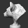 07.png Hyena Head AM14 3D print model