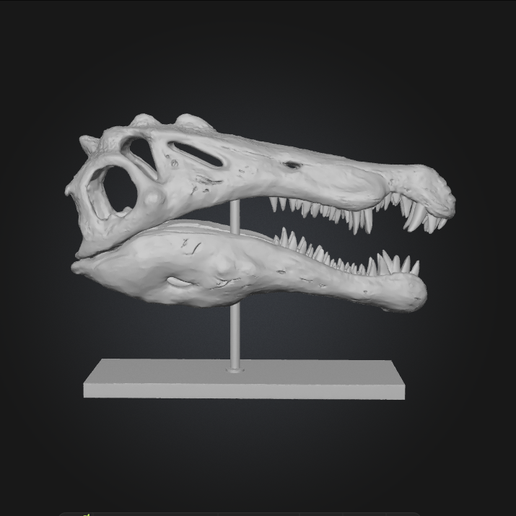Captura-de-pantalla-2025-12-20-105312.png DINOSAURS SKULLS - PACK - 6 Models 3d