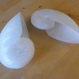 nP1130156.jpg STL file Nautiles・3D printer design to download