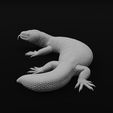 23-min.png Gila Monster Lizard - Realistc Venomous Reptile