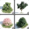 5BP3hqUp.jpeg Plant And Flowers Home Decor 3D Model 37-40
