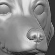 15.jpg Puppy of Dachshund dog head for 3D printing