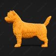 3074-Cairn_Terrier_Pose_01.jpg Cairn Terrier Dog 3D Print Model Pose 01