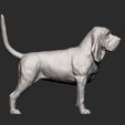 BLOODHOUND12.jpg 3D-Datei BLOODHOUND 3D-Druckmodell・Design für 3D-Drucker zum herunterladen