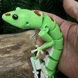 5.jpg Articulated Lizard - Print-In-Place Articulated Day Gecko