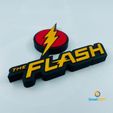 IMG_3839.jpg flash logo