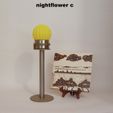 Nightflower-c1.jpg Nightflower-c