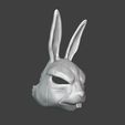 02.jpg Devil May Cry - Rabbit mask
