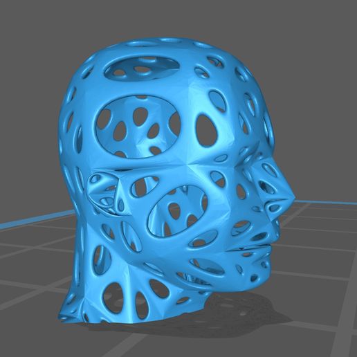 Head Voronoi 3D model