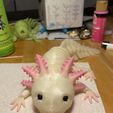 Bezaubernder Axolotl mit Gelenk, bedruckter Körper, einrastbarer Kopf, niedlicher Flexi