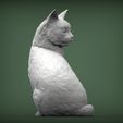 cat-looks-back4.jpg Cat for 3d printing