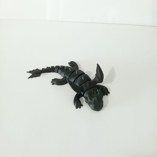 IMG20240531113455.jpg FLEXI TOOTHLESS DRAGON ARTICULATED