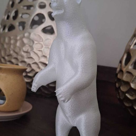 Polar bear standing up