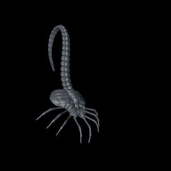 2.jpg facehugger alien