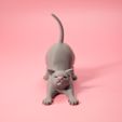 3D-tails-funny-stretching-cat-obj-5.jpg Stretching cat