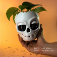 Cults-12.png Skull Planter