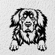 Sin-título.jpg Hovawart dog wall decoration wall mural pet picture dog deco wall house Pet