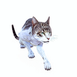 o.png CAT - DOWNLOAD CAT 3d model - animated for blender-fbx-unity-maya-unreal-c4d-3ds max - 3D printing CAT CAT - POKÉMON - FELINE - LION - TIGER