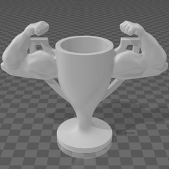 Capture.png Muscle Trophy