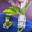 Aquarium-Plant-Clipping-Holder-01.jpg Aquarium Plant Rooting Holder Cutting Holder