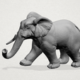 Elephant 01 -A01.png Elephant 01