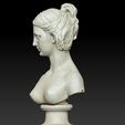 3.jpg Vintage Lady Bust two
