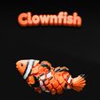 FEED-2023-07-07T114840.335.jpg ClownFish