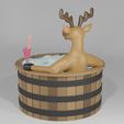 HTR-2.jpg Hot Tub Rudolph